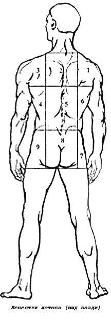 Энергетическая клизма, или Триумф тети Нюры из Простодырово - i_018.jpg