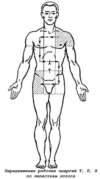 Энергетическая клизма, или Триумф тети Нюры из Простодырово - i_019.jpg