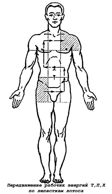 Энергетическая клизма, или Триумф тети Нюры из Простодырово - i_020.jpg
