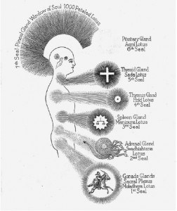 Тело йоги. Истоки современой постуральной практики - image121.jpg