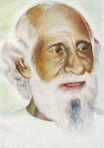 Тело йоги. Истоки современой постуральной практики - image116.jpg