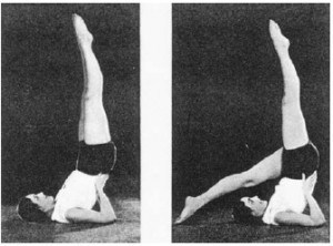 Тело йоги. Истоки современой постуральной практики - image122.jpg