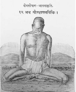 Тело йоги. Истоки современой постуральной практики - image137.jpg