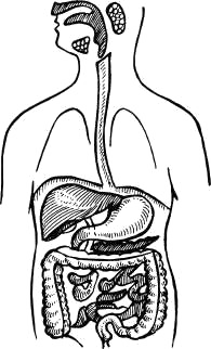 Освобождение - i_066.png