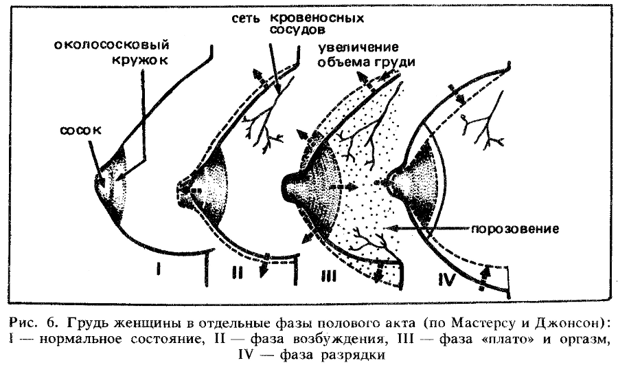 Искусство любви - _6.png