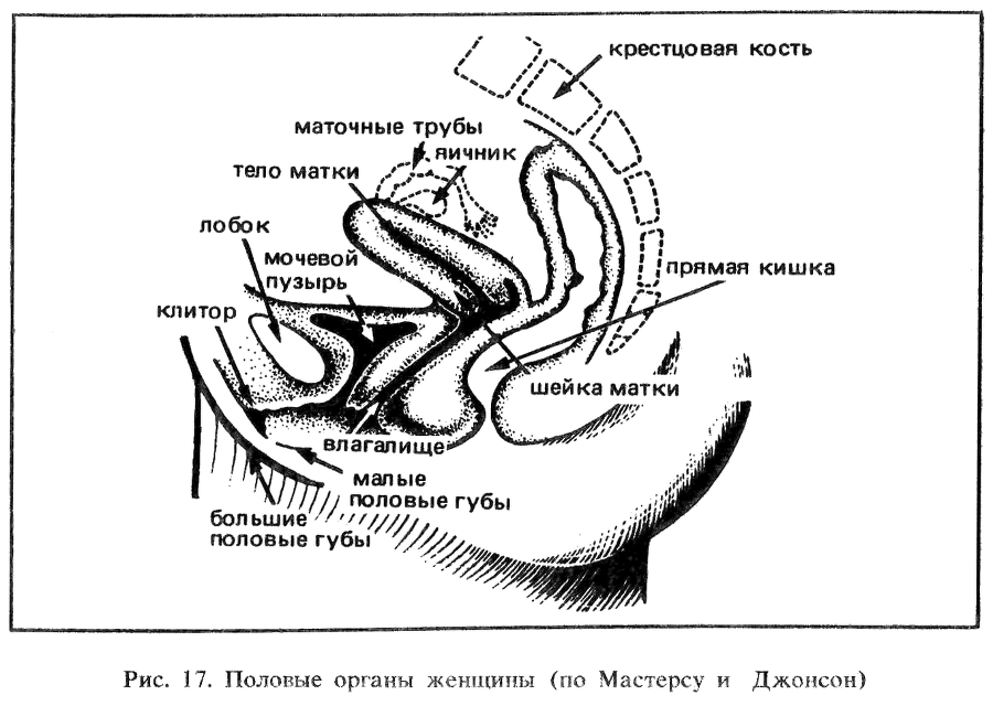 Искусство любви - _18.png