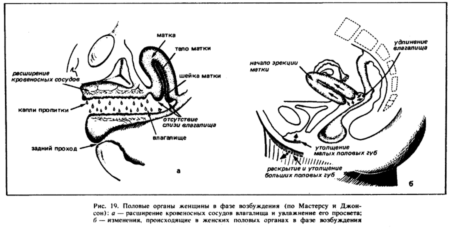 Искусство любви - _20.png