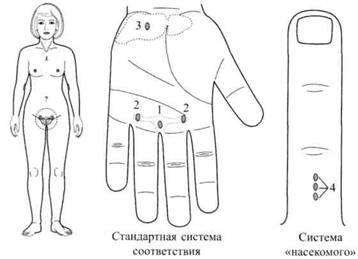 Су Джок семянотерапия - any2fbimgloader71.jpeg