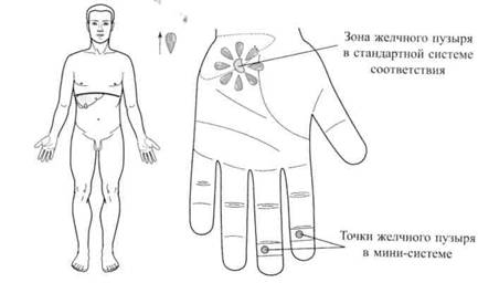 Су Джок семянотерапия - any2fbimgloader148.jpeg