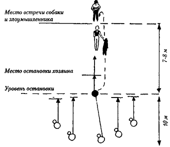 Собака сопровождения - i_017.png