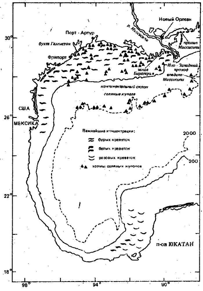 Леса моря. Жизнь и смерть на континентальном шельфе - i_015.png