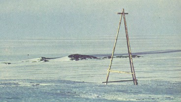 460 дней в Четвертой Советской антарктической экспедиции - any2fbimgloader15.jpeg