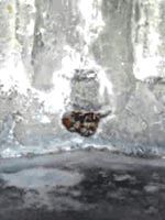 Археологические свидетельства древней истории (СИ) - i_356.jpg