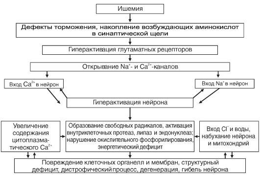 Патофизиология. Том 2 - _105.jpg