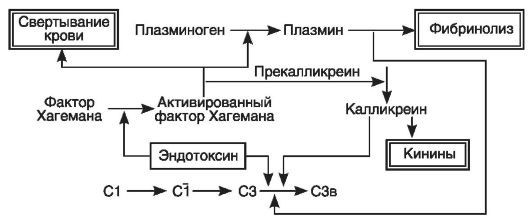 Патофизиология. Том 2 - _21.jpg