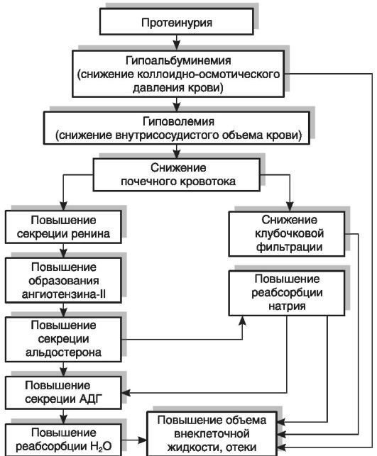 Патофизиология. Том 2 - _78.jpg