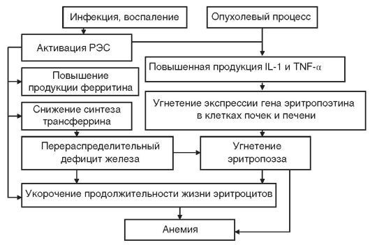 Патофизиология. Том 2 - _8.jpg