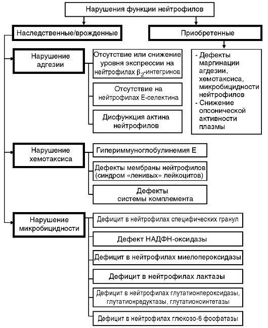 Патофизиология. Том 2 - _9.jpg