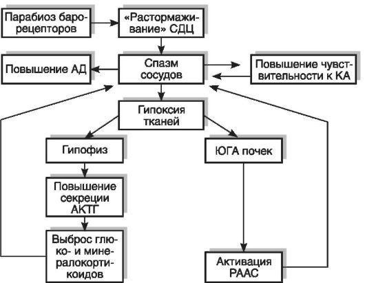 Патофизиология. Том 2 - _34.jpg