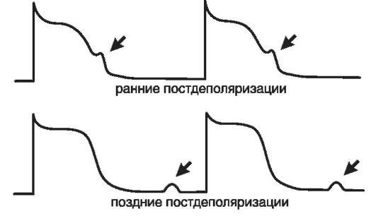 Патофизиология. Том 2 - _49.jpg