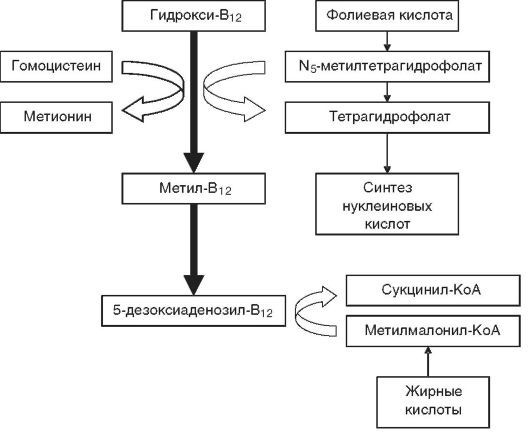 Патофизиология. Том 2 - _7.jpg