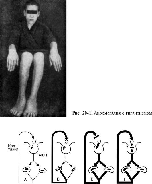 Патофизиология. Том 2 - _81.jpg