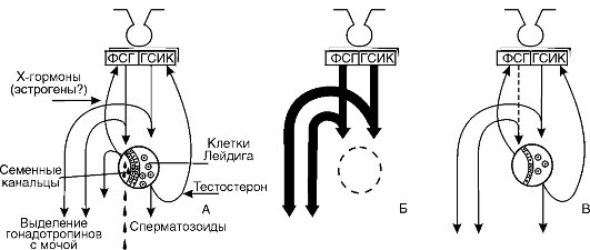 Патофизиология. Том 2 - _99.jpg