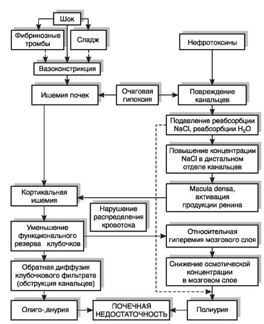 Патофизиология. Том 2 - _79.jpg