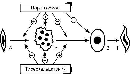 Патофизиология. Том 2 - _98.jpg