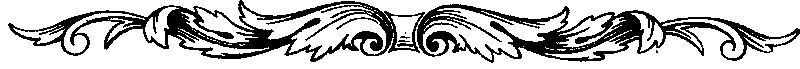 Старинные фейерверки в России (XVII - первая четверть XVIII века) - i_001.png