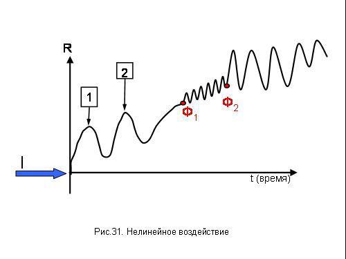 Содержательное единство 2001-2006 - pic_98.jpg