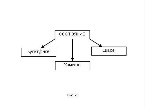 Содержательное единство 2007-2011 - pic_281.jpg