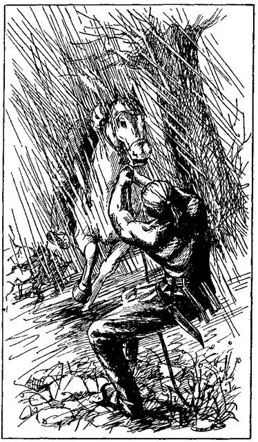 Фланкер - any2fbimgloader5.jpeg