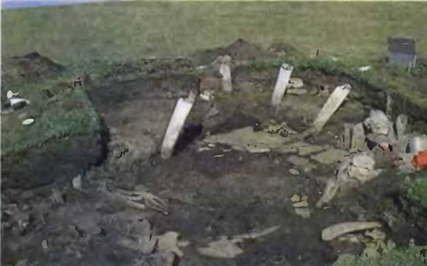 Знание-сила, 1999 № 04 - pic_12.jpg