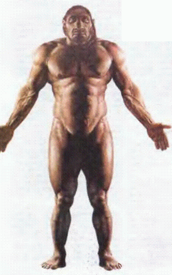 Знание-сила, 1999 № 04 - pic_44.png