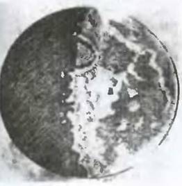 Знание-сила, 1999 № 04 - pic_93.jpg