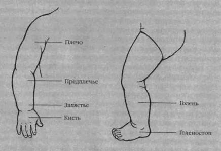 Игры и упражнения для самых маленьких - image006.jpg