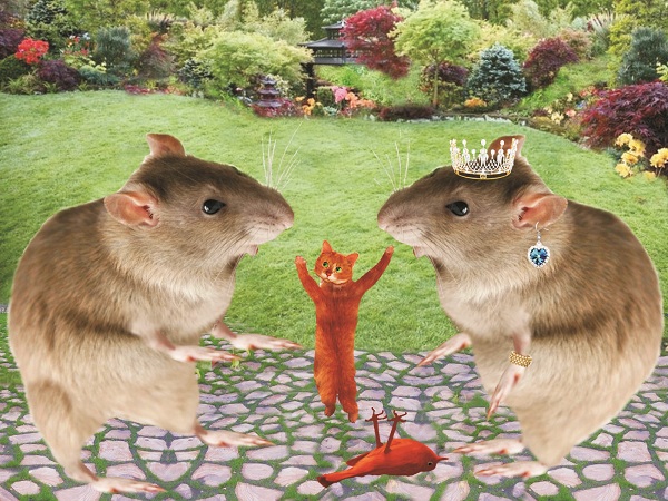 Туманный Кот - doc2fb_image_0200000C.jpg