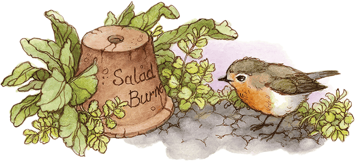 Таинственный сад - i_024.png