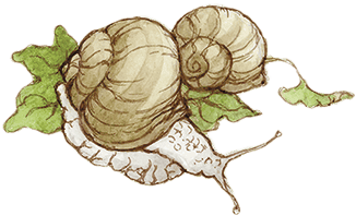 Таинственный сад - i_027.png