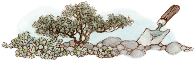 Таинственный сад - i_038.png