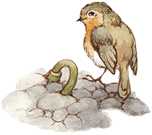 Таинственный сад - i_039.png