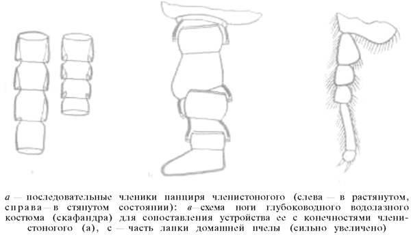 О ловкости и ее развитии - any2fbimgloader31.jpeg