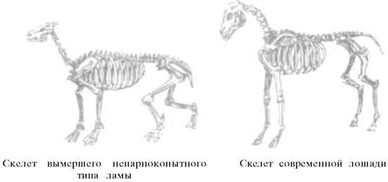 О ловкости и ее развитии - any2fbimgloader69.jpeg