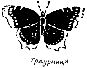 Маленькі дикуни - i_010.png