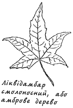 Маленькі дикуни - i_017.png