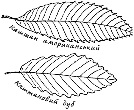 Маленькі дикуни - i_062.png