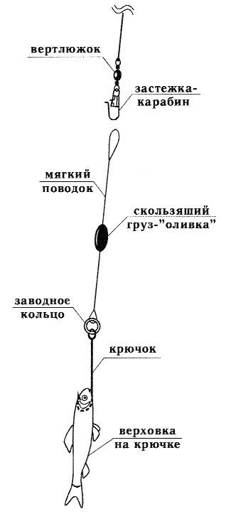 Ловля рыбы со льда - i_035.jpg