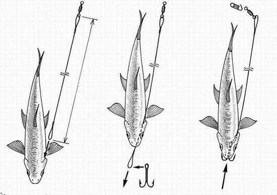 Ловля рыбы со льда - i_038.jpg