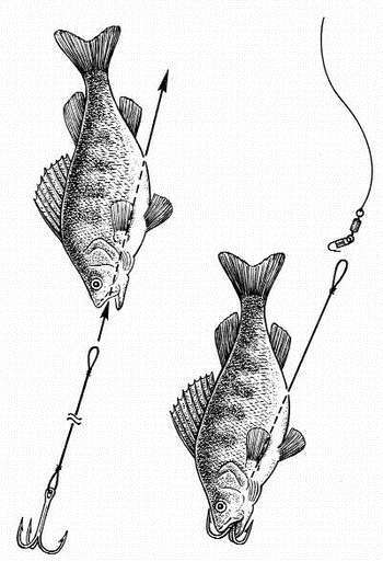 Ловля рыбы со льда - i_039.jpg